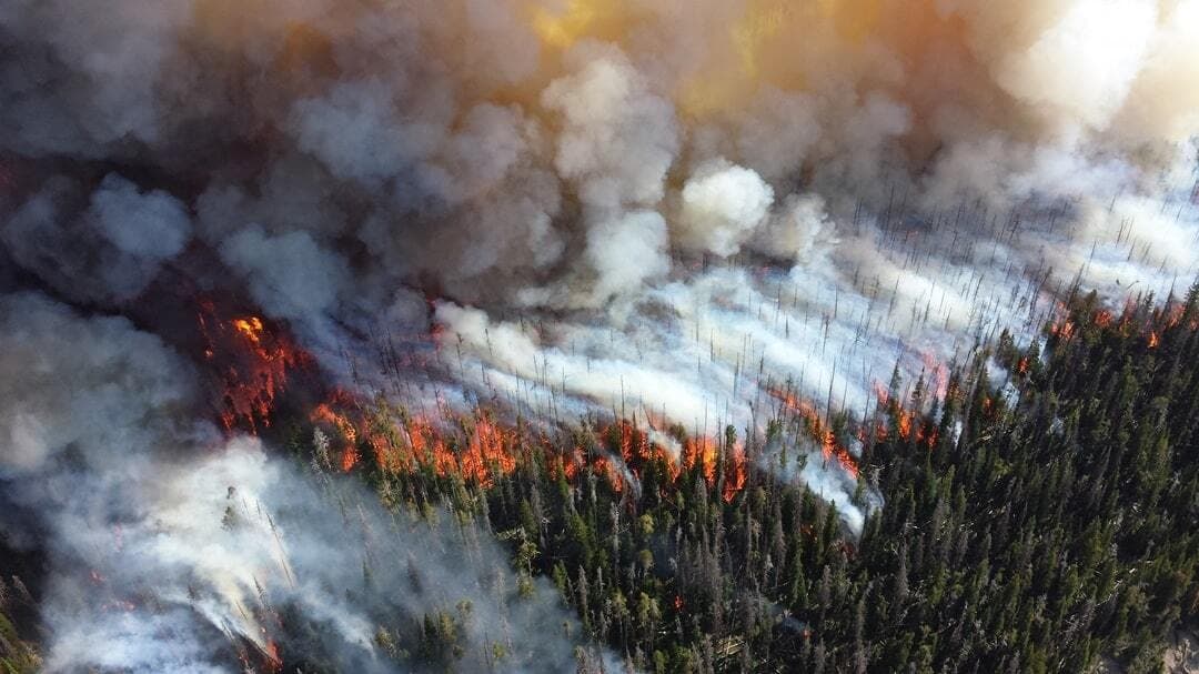 Helping EU Authorities Fight Wildfires with Actionable Insights